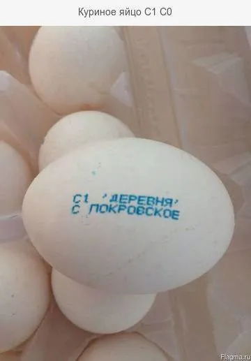 яйцо куриное в Екатеринбурге